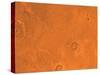 Tharsis Region of Mars-Stocktrek Images-Stretched Canvas