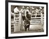 That Ain’t No Bull-Barry Hart-Framed Giclee Print