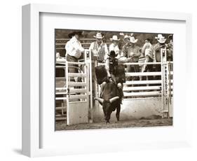 That Ain’t No Bull-Barry Hart-Framed Art Print