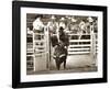 That Ain’t No Bull-Barry Hart-Framed Art Print