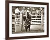 That Ain’t No Bull-Barry Hart-Framed Art Print