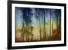 That Blue And Yellow Day-Jacob Berghoef-Framed Photographic Print