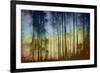 That Blue And Yellow Day-Jacob Berghoef-Framed Photographic Print