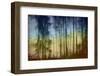 That Blue And Yellow Day-Jacob Berghoef-Framed Photographic Print