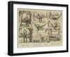 That Diabolical Hammock-null-Framed Giclee Print