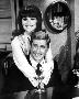 Laminate