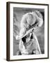 That Hamilton Woman, 1941-null-Framed Photographic Print