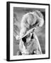 That Hamilton Woman, 1941-null-Framed Photographic Print