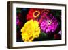 That's My Desire-Philippe Sainte-Laudy-Framed Photographic Print