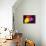 That's My Desire-Philippe Sainte-Laudy-Mounted Photographic Print displayed on a wall