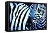 That Zebra Look-Cherie Roe Dirksen-Framed Stretched Canvas