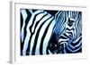 That Zebra Look-Cherie Roe Dirksen-Framed Giclee Print