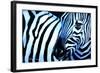 That Zebra Look-Cherie Roe Dirksen-Framed Giclee Print