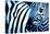 That Zebra Look-Cherie Roe Dirksen-Stretched Canvas