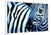 That Zebra Look-Cherie Roe Dirksen-Framed Giclee Print