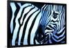 That Zebra Look-Cherie Roe Dirksen-Framed Giclee Print