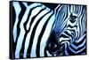 That Zebra Look-Cherie Roe Dirksen-Framed Stretched Canvas