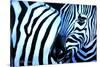 That Zebra Look-Cherie Roe Dirksen-Stretched Canvas