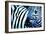 That Zebra Look-Cherie Roe Dirksen-Framed Giclee Print