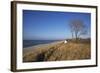 Thatched Beach House under the Big Poplars in Ahrenshoop-Uwe Steffens-Framed Photographic Print