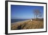 Thatched Beach House under the Big Poplars in Ahrenshoop-Uwe Steffens-Framed Photographic Print