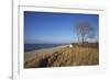 Thatched Beach House under the Big Poplars in Ahrenshoop-Uwe Steffens-Framed Photographic Print