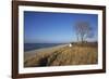 Thatched Beach House under the Big Poplars in Ahrenshoop-Uwe Steffens-Framed Photographic Print