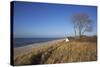 Thatched Beach House under the Big Poplars in Ahrenshoop-Uwe Steffens-Stretched Canvas