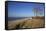 Thatched Beach House under the Big Poplars in Ahrenshoop-Uwe Steffens-Framed Stretched Canvas