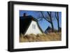 Thatched Beach House under the Big Poplars in Ahrenshoop-Uwe Steffens-Framed Photographic Print