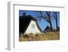 Thatched Beach House under the Big Poplars in Ahrenshoop-Uwe Steffens-Framed Photographic Print