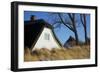 Thatched Beach House under the Big Poplars in Ahrenshoop-Uwe Steffens-Framed Photographic Print