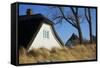 Thatched Beach House under the Big Poplars in Ahrenshoop-Uwe Steffens-Framed Stretched Canvas