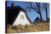 Thatched Beach House under the Big Poplars in Ahrenshoop-Uwe Steffens-Stretched Canvas