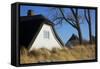 Thatched Beach House under the Big Poplars in Ahrenshoop-Uwe Steffens-Framed Stretched Canvas