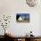 Thatched Beach House under the Big Poplars in Ahrenshoop-Uwe Steffens-Photographic Print displayed on a wall