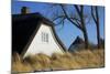 Thatched Beach House under the Big Poplars in Ahrenshoop-Uwe Steffens-Mounted Photographic Print