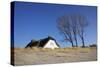 Thatched Beach House under the Big Poplars in Ahrenshoop-Uwe Steffens-Stretched Canvas