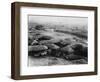 Thatched Buildings-null-Framed Photographic Print