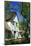 Thatched Captain's House under an Old Ash on the Corner 'Kastanienweg' (Street-Uwe Steffens-Mounted Photographic Print