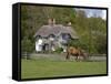 Thatched Cottage and Pony, New Forest, Hampshire, England, United Kingdom, Europe-Rainford Roy-Framed Stretched Canvas