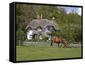 Thatched Cottage and Pony, New Forest, Hampshire, England, United Kingdom, Europe-Rainford Roy-Framed Stretched Canvas