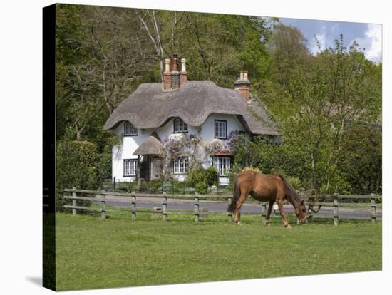 Thatched Cottage and Pony, New Forest, Hampshire, England, United Kingdom, Europe-Rainford Roy-Stretched Canvas