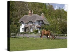 Thatched Cottage and Pony, New Forest, Hampshire, England, United Kingdom, Europe-Rainford Roy-Stretched Canvas