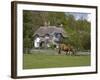 Thatched Cottage and Pony, New Forest, Hampshire, England, United Kingdom, Europe-Rainford Roy-Framed Photographic Print