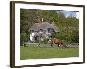 Thatched Cottage and Pony, New Forest, Hampshire, England, United Kingdom, Europe-Rainford Roy-Framed Photographic Print