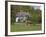 Thatched Cottage and Pony, New Forest, Hampshire, England, United Kingdom, Europe-Rainford Roy-Framed Photographic Print