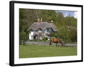 Thatched Cottage and Pony, New Forest, Hampshire, England, United Kingdom, Europe-Rainford Roy-Framed Photographic Print