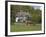 Thatched Cottage and Pony, New Forest, Hampshire, England, United Kingdom, Europe-Rainford Roy-Framed Photographic Print