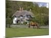 Thatched Cottage and Pony, New Forest, Hampshire, England, United Kingdom, Europe-Rainford Roy-Mounted Photographic Print